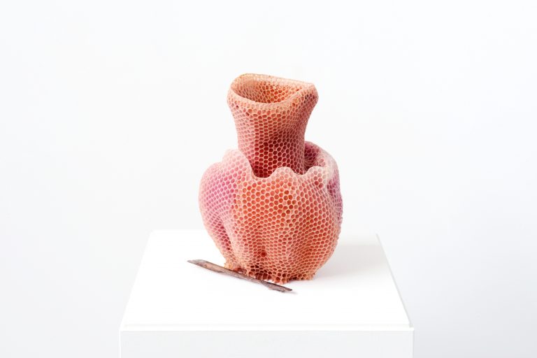 The Honeycomb Vase “made by bees”