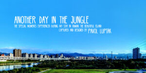 Another day in the Jungle | Fotokniha