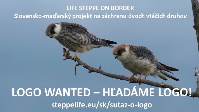 Ochrana dravcov na Slovensku – súťaž o vytvorenie loga