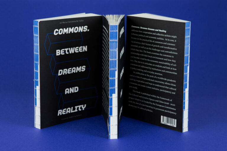 Commons. Between Dreams and Reality.