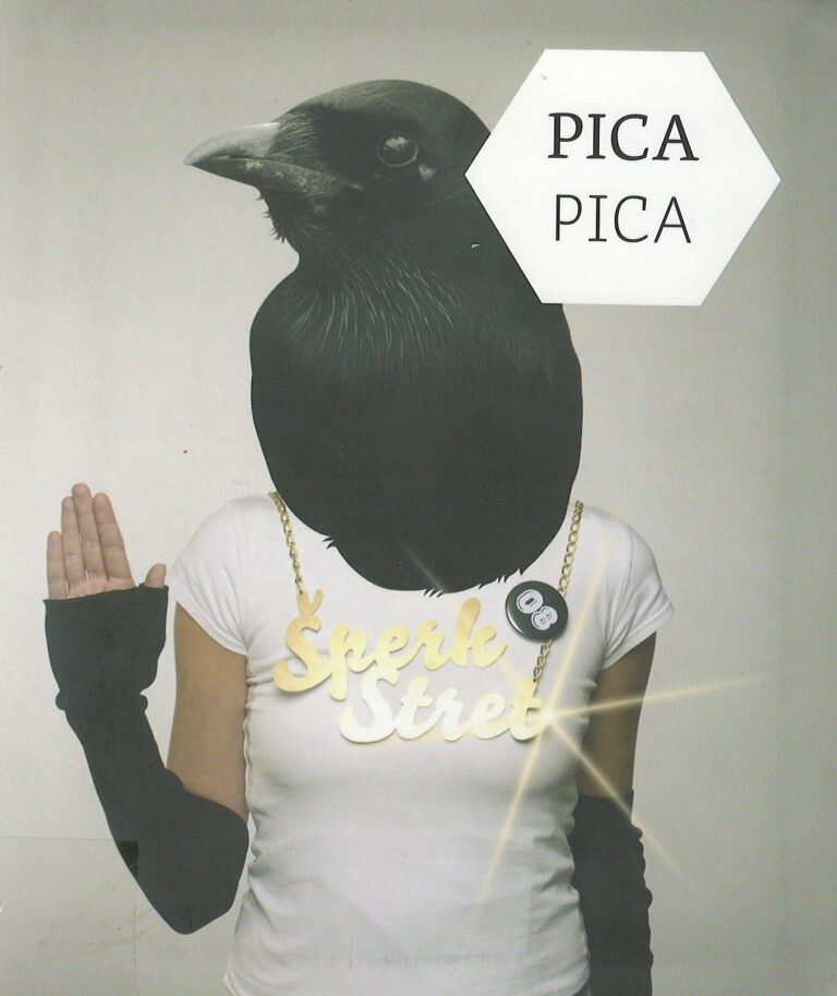 Pica pica – the jewellery slam conference '08 / šperk stret '08