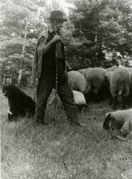 Irena Blühová: Z Cyklu život a práca bačov, pastierov a honelníkov, želatínová fotografia, 1979.  Slovenské múzeum dizajnu