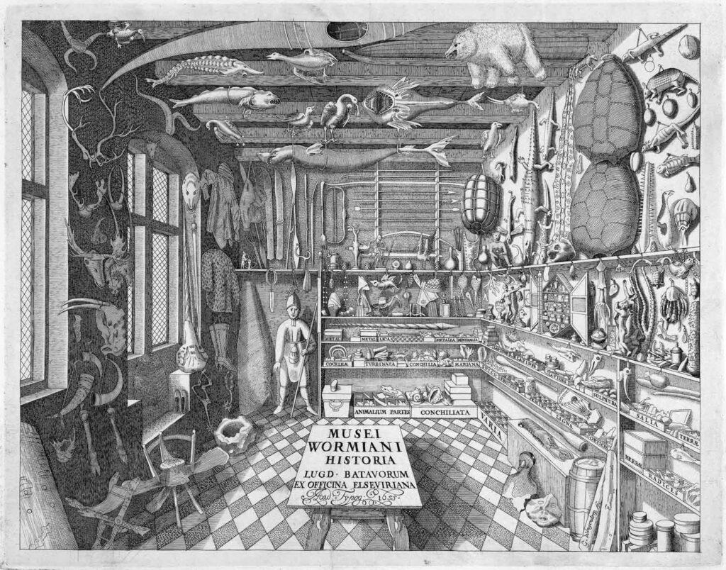 Kabinet kuriozít dánskeho fyzika a antikvára Oleho Worma v Kodani, Museum Wormianum seu Historia Rerum Rariorum (Amsterdam, 1655). Foto archív N.K.