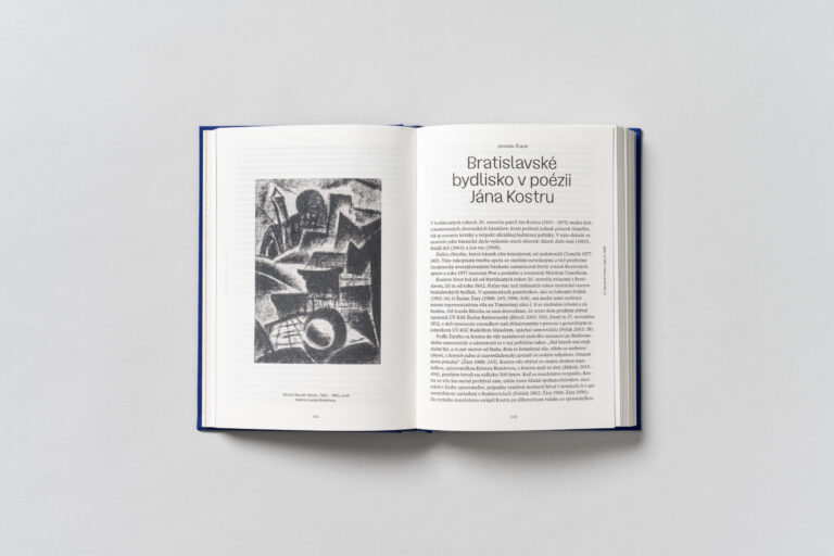 Literárne krajiny Bratislavy / Obraz mesta po roku 1918