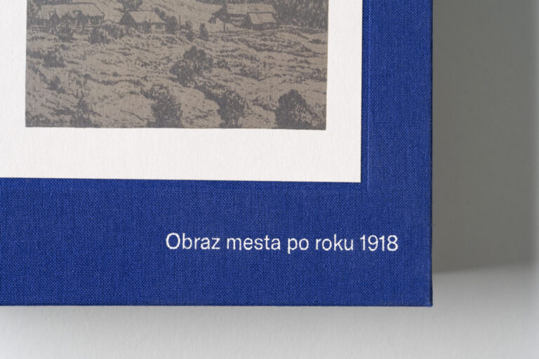 Literárne krajiny Bratislavy / Obraz mesta po roku 1918