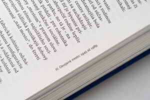 Literárne krajiny Bratislavy / Obraz mesta po roku 1918