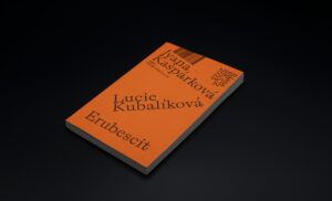 Zborník Básní SK/CZ