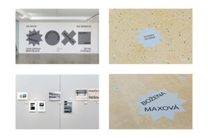 Cyklus výstav amatérskeho výtvarného umenia pre Národné osvetové centrum