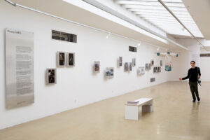 Cyklus výstav amatérskeho výtvarného umenia pre Národné osvetové centrum