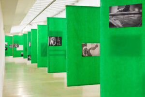 Cyklus výstav amatérskeho výtvarného umenia pre Národné osvetové centrum