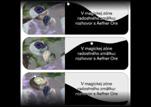 Webová stránka pre médium 3/4