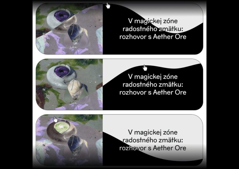 Webová stránka pre médium 3/4