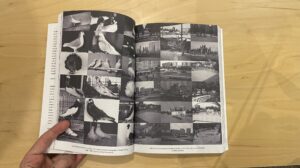 Naďa Kančevová Médium zbierka