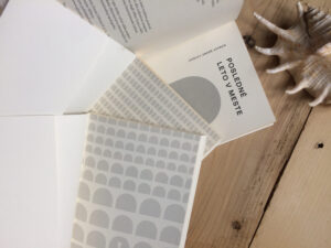 Gianfranco Calligarich, edícia