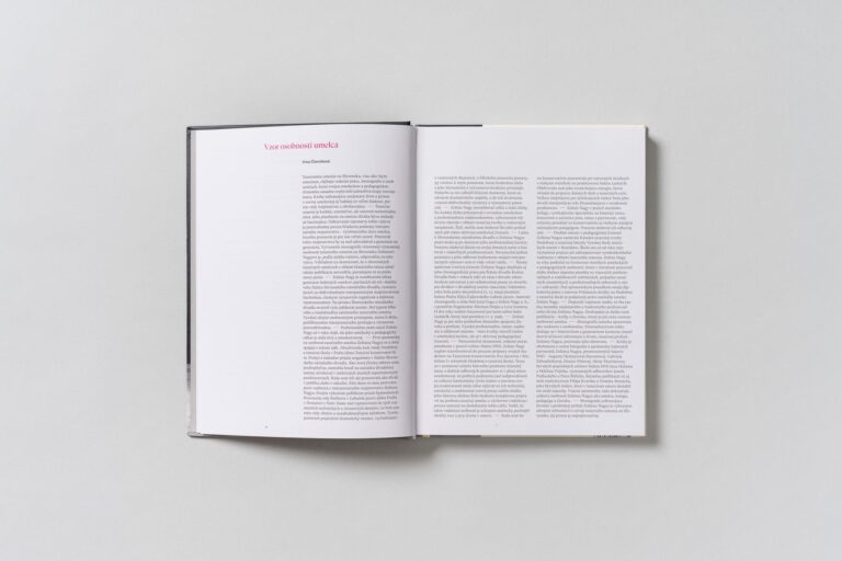 Kontrasty tanečných príbehov - Rozhovory s prvým sólistom Zoltánom Nagyom