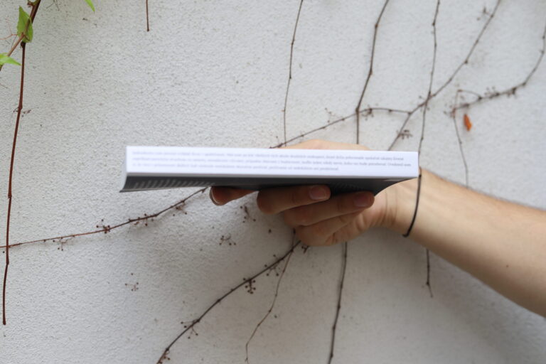 Pohľady z mŕtveho uhla