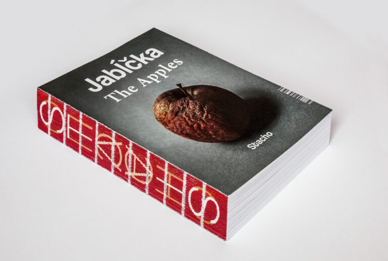 Monika Stacho: Konceptuálne diptychy Ľuba Stacha