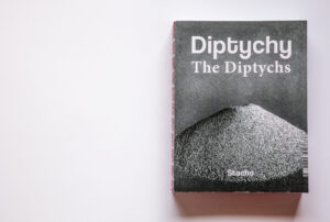 Monika Stacho: Konceptuálne diptychy Ľuba Stacha