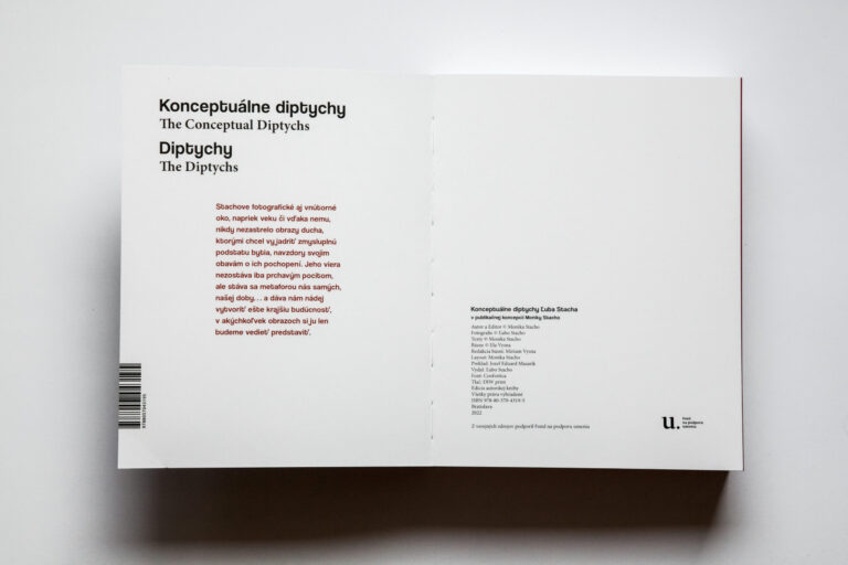 Monika Stacho: Konceptuálne diptychy Ľuba Stacha