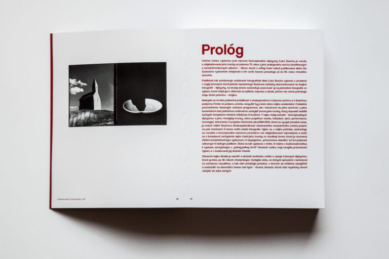 Monika Stacho: Konceptuálne diptychy Ľuba Stacha