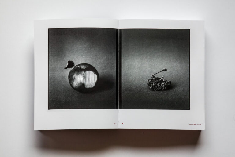 Monika Stacho: Konceptuálne diptychy Ľuba Stacha