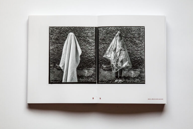 Monika Stacho: Konceptuálne diptychy Ľuba Stacha