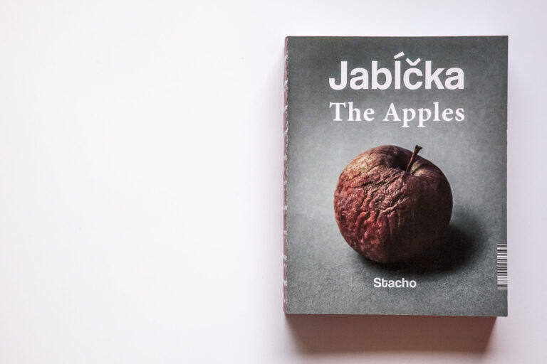 Monika Stacho: Konceptuálne diptychy Ľuba Stacha