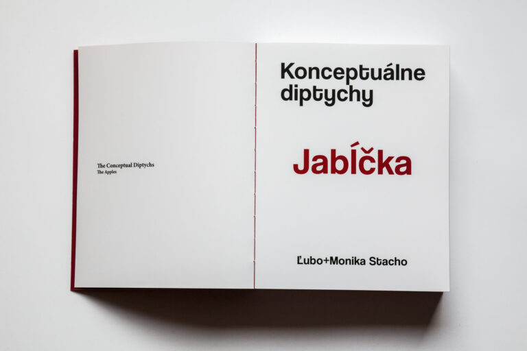 Monika Stacho: Konceptuálne diptychy Ľuba Stacha