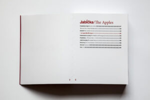 Monika Stacho: Konceptuálne diptychy Ľuba Stacha