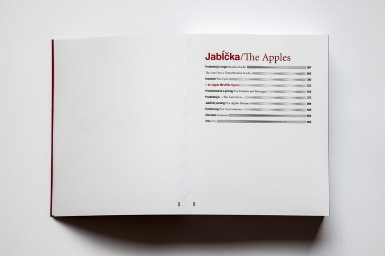 Monika Stacho: Konceptuálne diptychy Ľuba Stacha