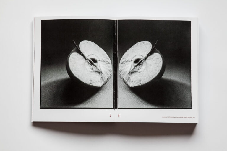 Monika Stacho: Konceptuálne diptychy Ľuba Stacha