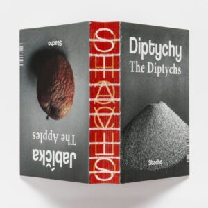 Monika Stacho: Konceptuálne diptychy Ľuba Stacha