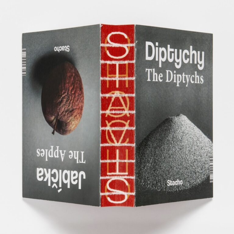 Monika Stacho: Konceptuálne diptychy Ľuba Stacha