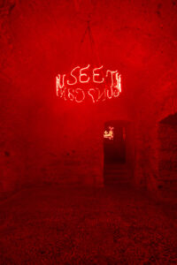 Can You Still Feel The Butterflies?