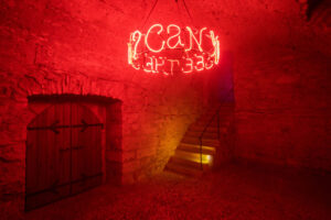 Can You Still Feel The Butterflies?