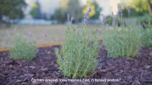 Promo video pre projekt Meníme Košice