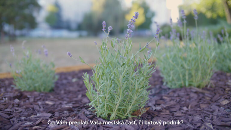 Promo video pre projekt Meníme Košice