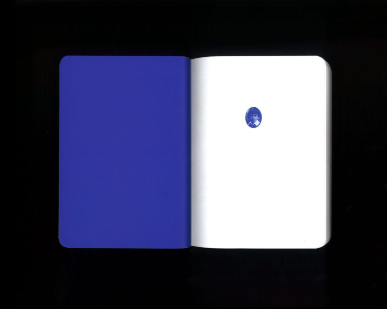 Peter Karvaš: V hniezde