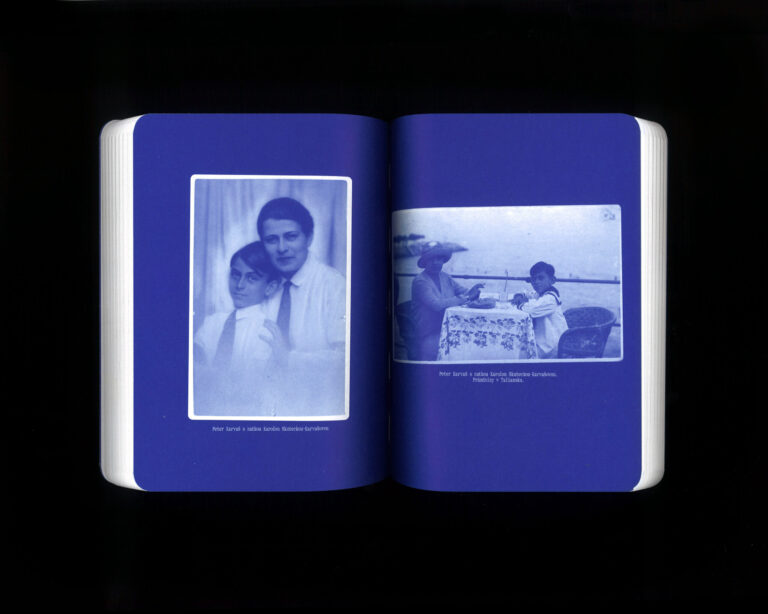 Peter Karvaš: V hniezde