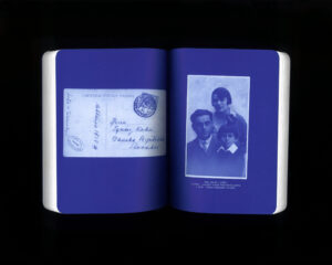 Peter Karvaš: V hniezde