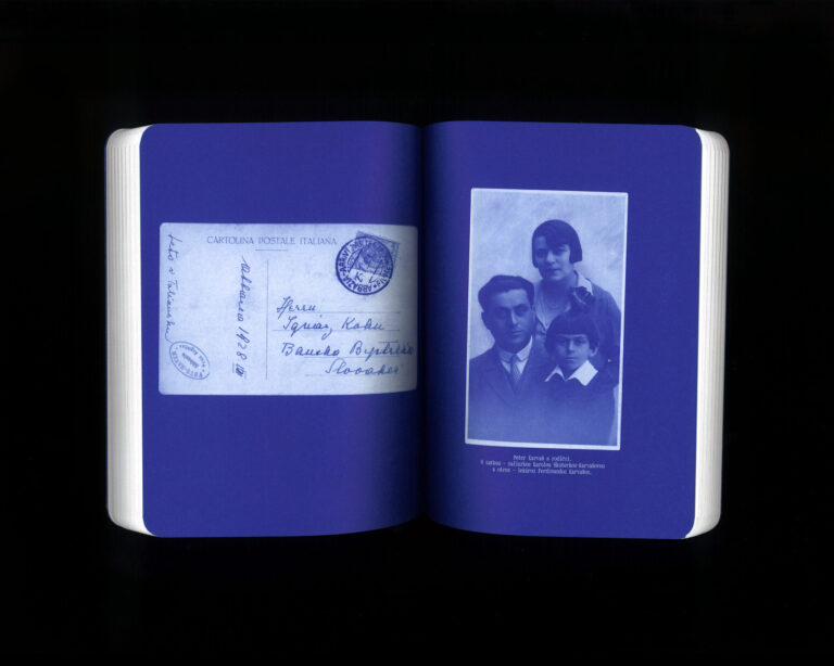 Peter Karvaš: V hniezde