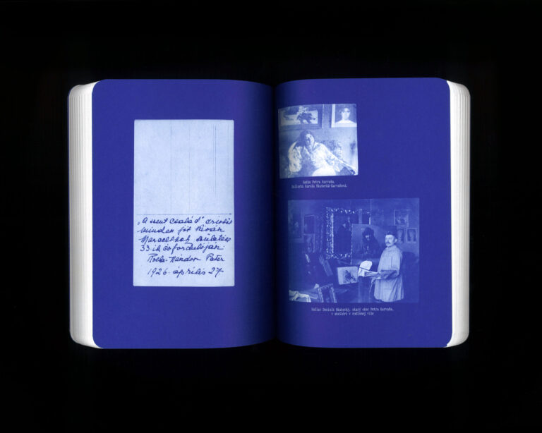 Peter Karvaš: V hniezde