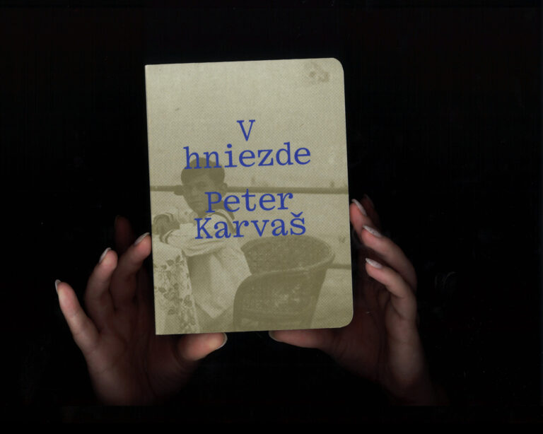Peter Karvaš: V hniezde