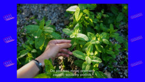 Promo video pre projekt Mestská krajina KVP