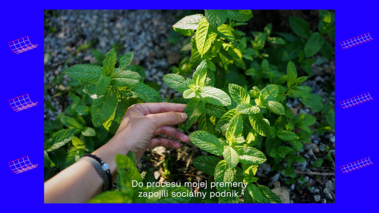 Promo video pre projekt Mestská krajina KVP