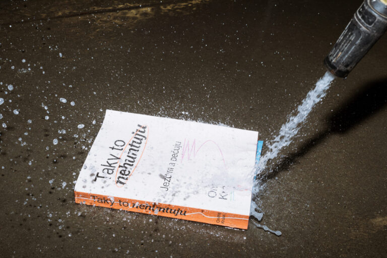 Taky to Nehuntuju - kniha