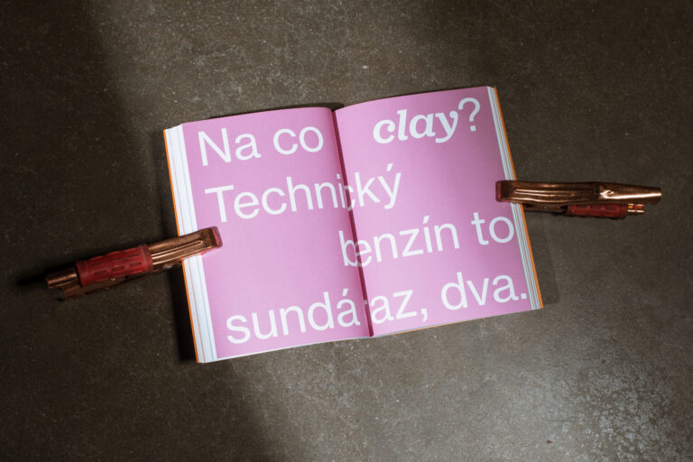 Taky to Nehuntuju - kniha