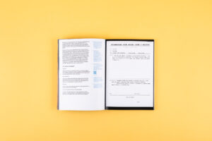 Scherzovci. Reštaurovanie rodinného portrétu