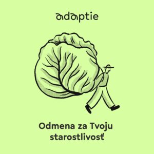 Adaptie