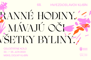 Vizuálna identita Hviezdoslavov Kubín